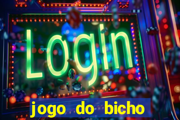 jogo do bicho crash bingo